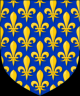 LUIS IX, EL SANTO, REY DE FRANCIA